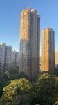 城市高楼与绿树景观