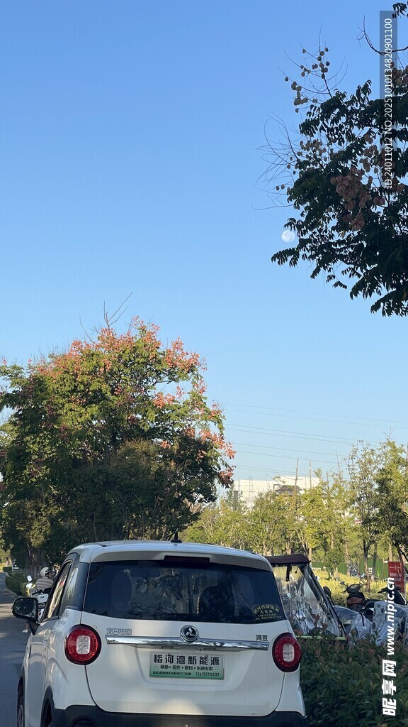 户外停放的白色SUV车辆