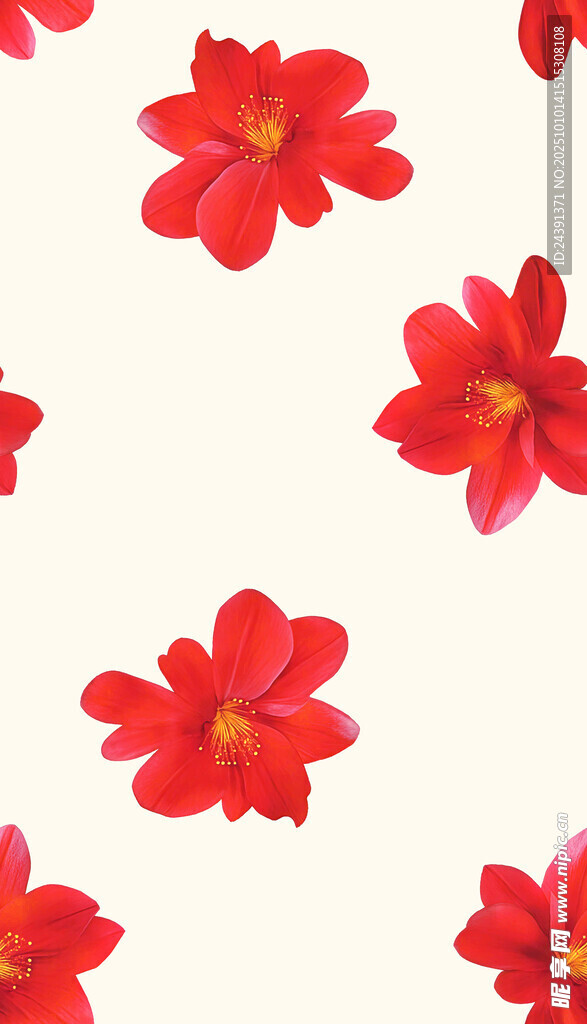 手绘花