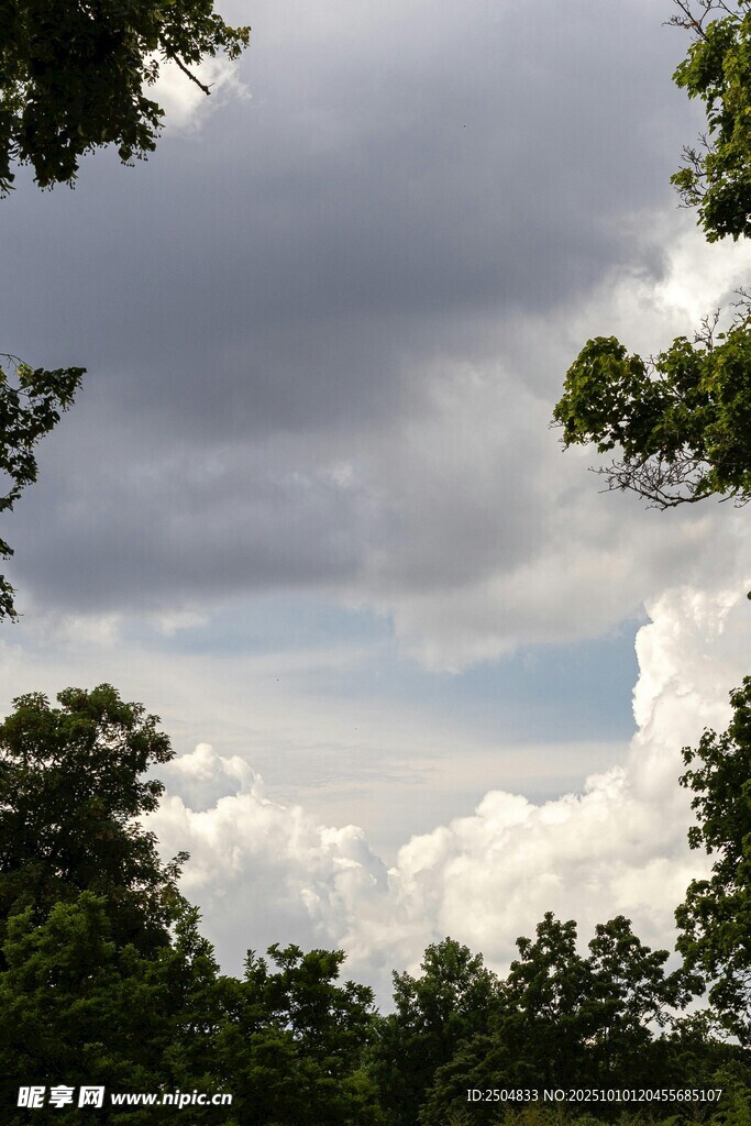 林间天空 云影交织
