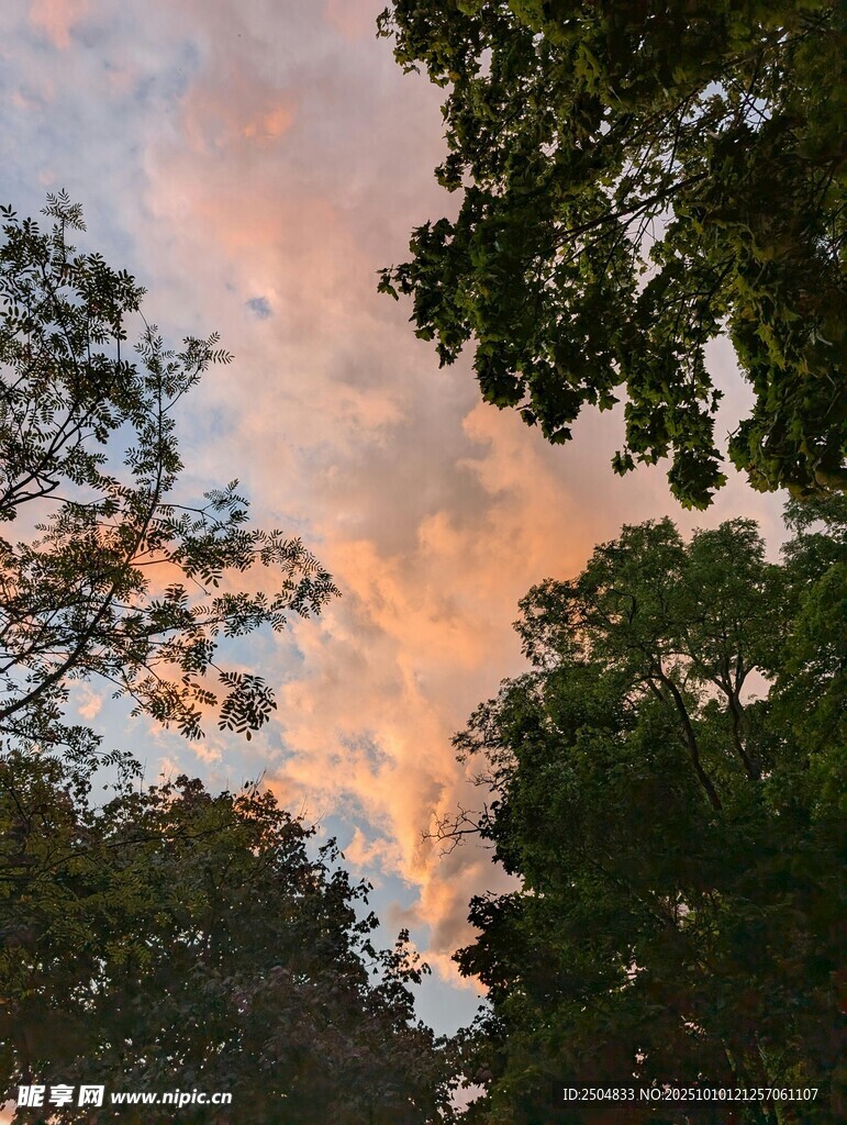 林间晚霞美景