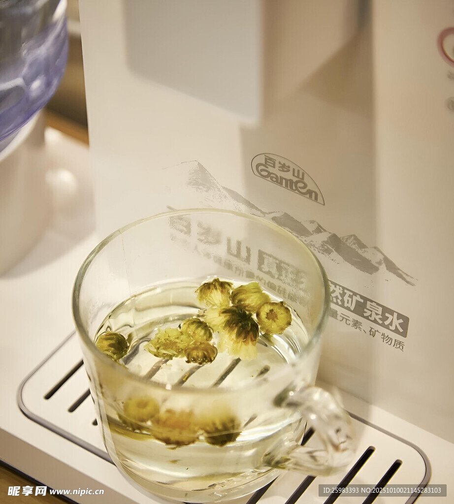泡菊花茶