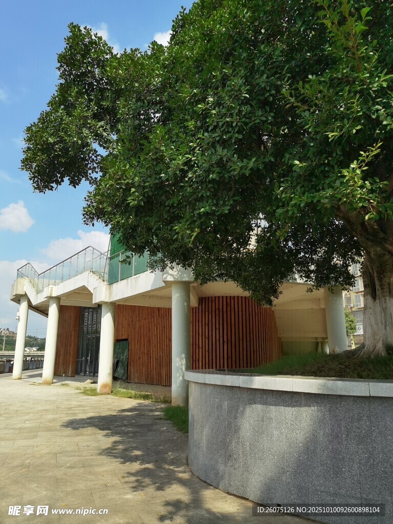 绿树掩映下的建筑一角