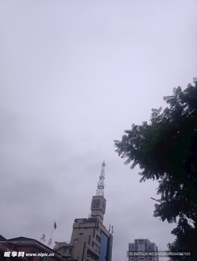 阴天城市建筑与绿树景观