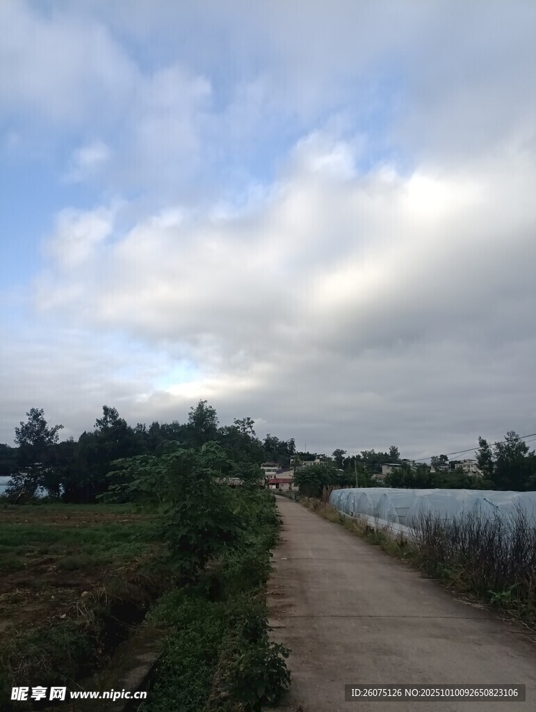 乡间小路旁的田园风光