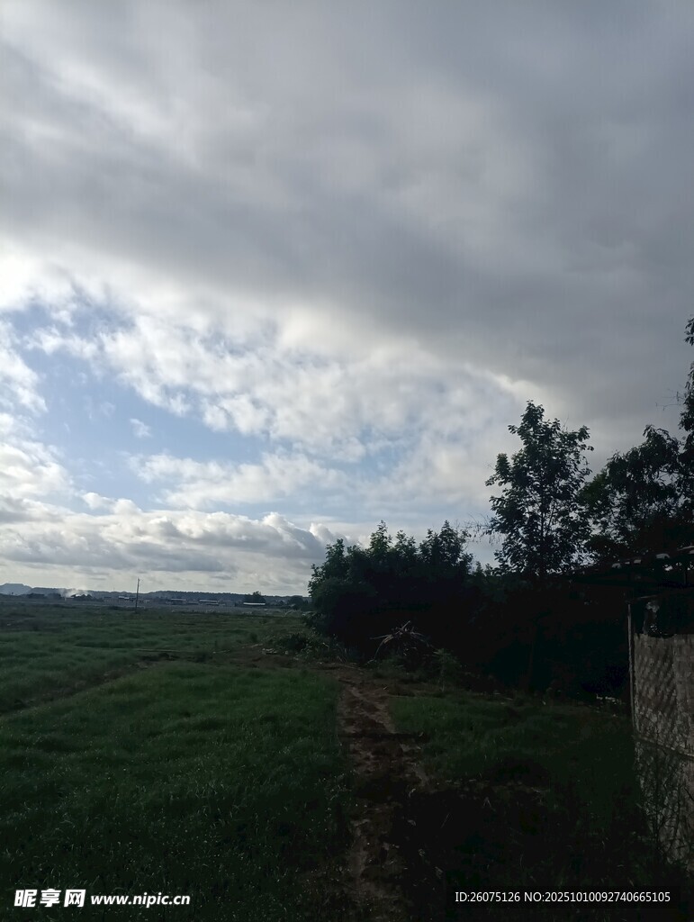 阴天草地风景