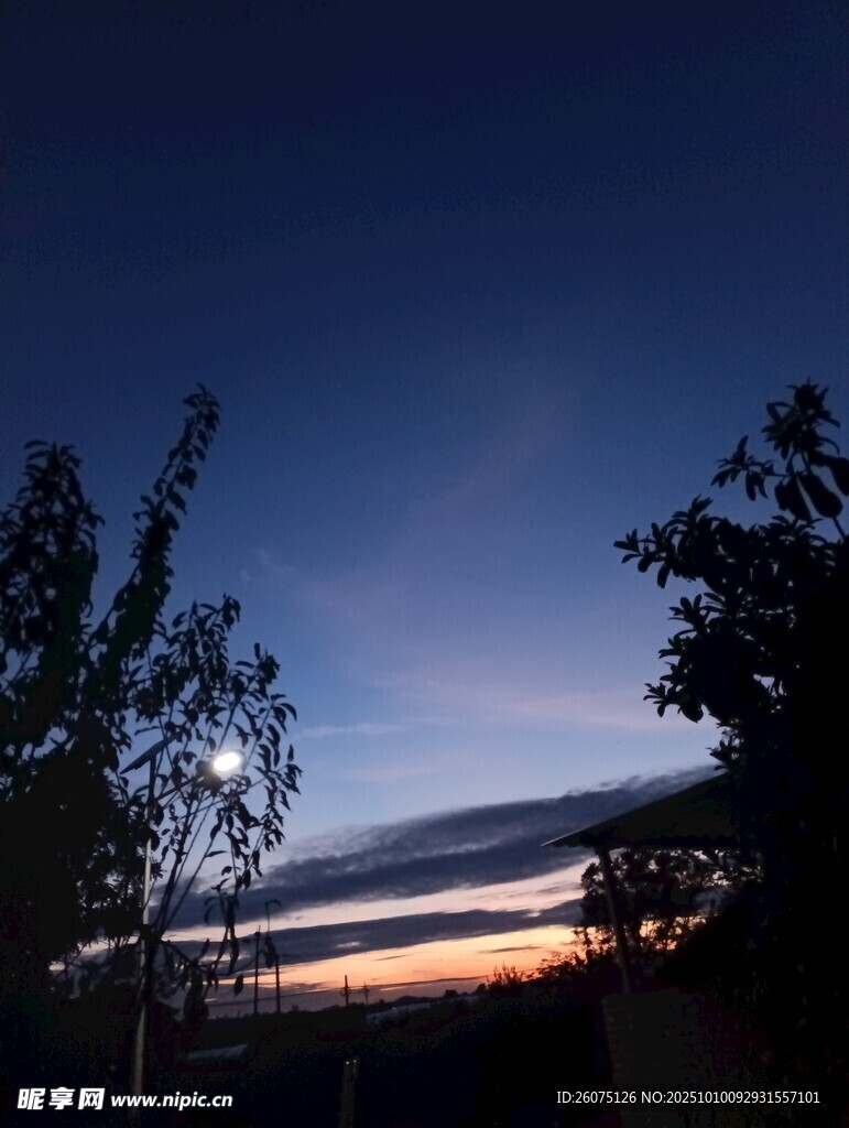 夜幕下的天边与树木