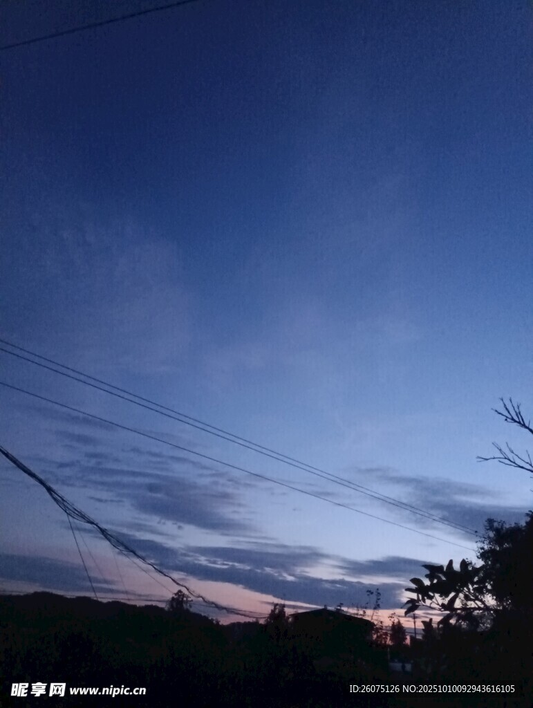 黄昏时分的天空与树梢