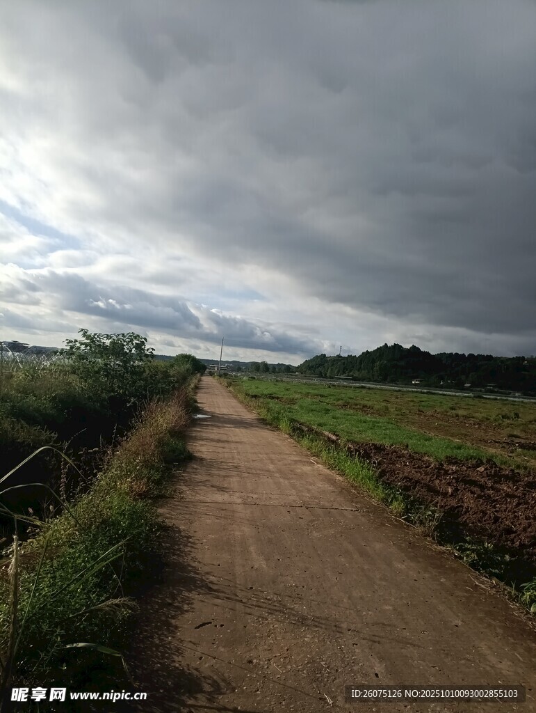 乡间土路阴云下的田园风光