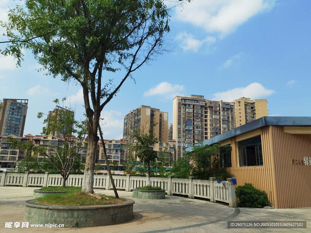 小区内绿树与建筑景观