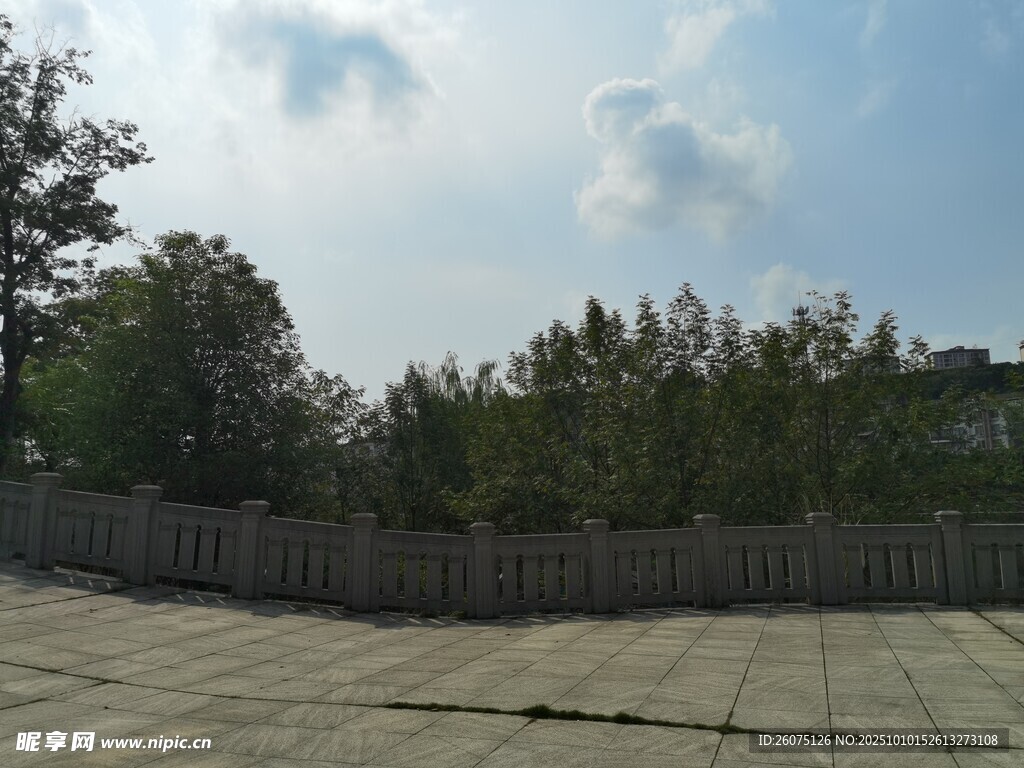 户外开阔场地与林木景观