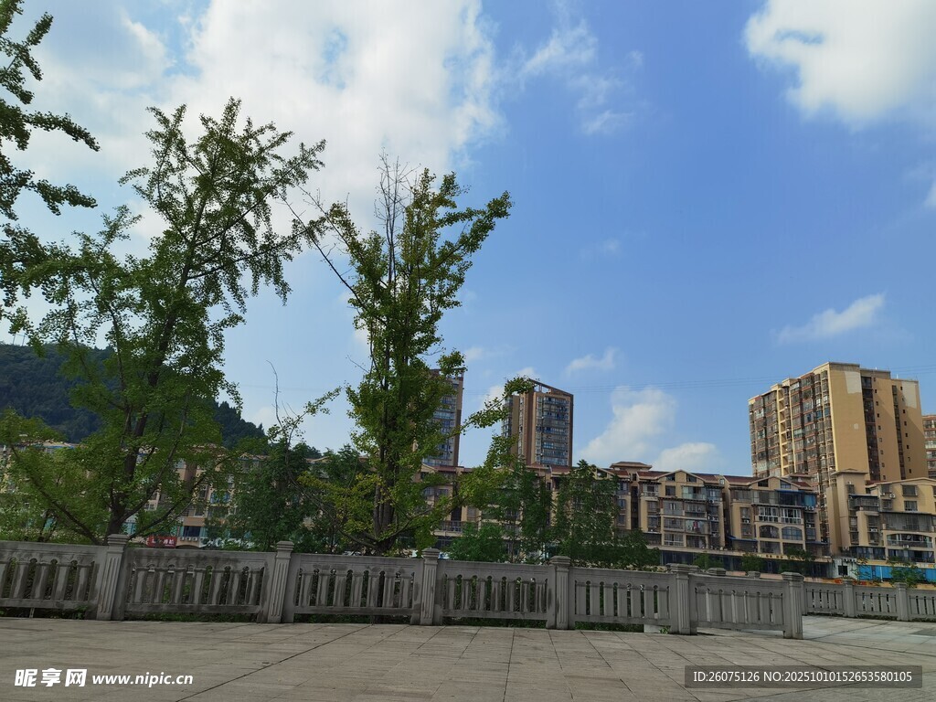 城市河畔风光
