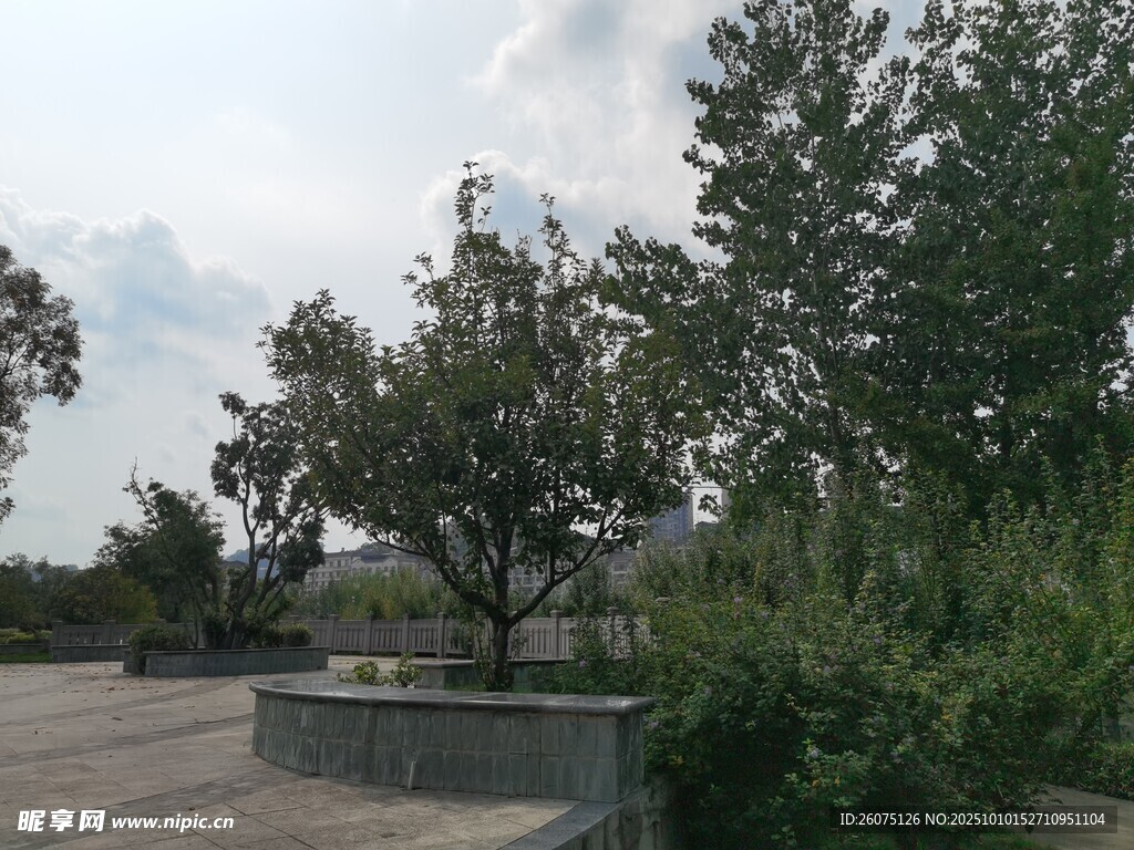 户外庭院绿树景观
