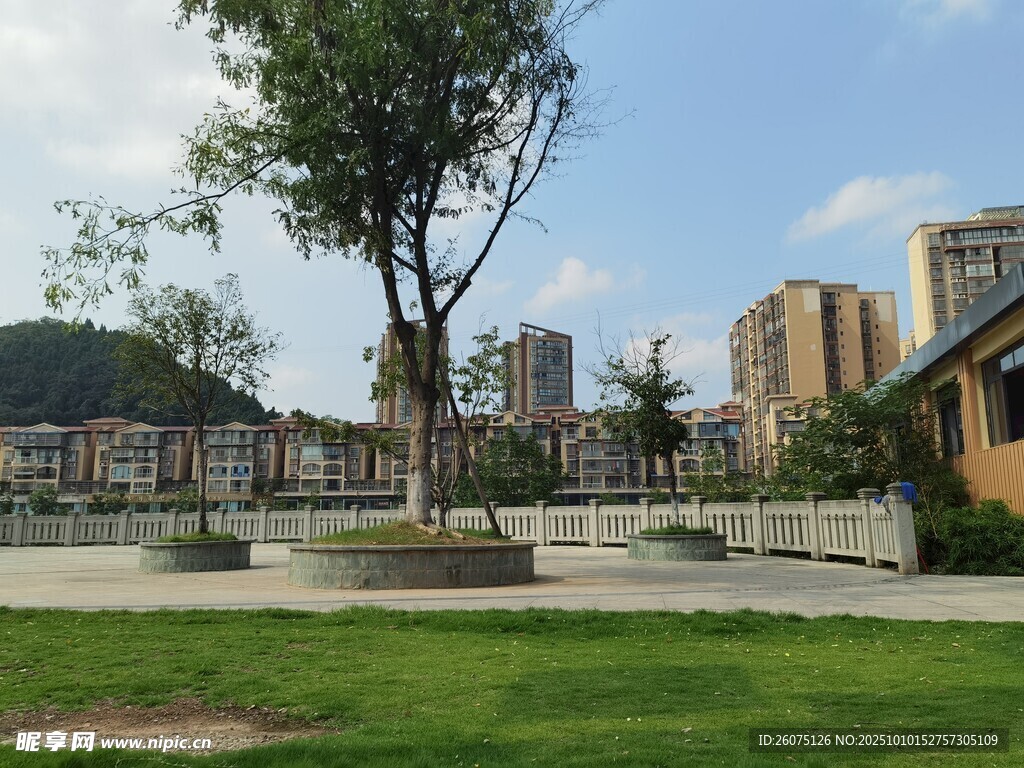 城市中的宁静绿地景观