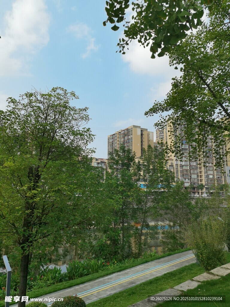 城市中的绿意公园景致