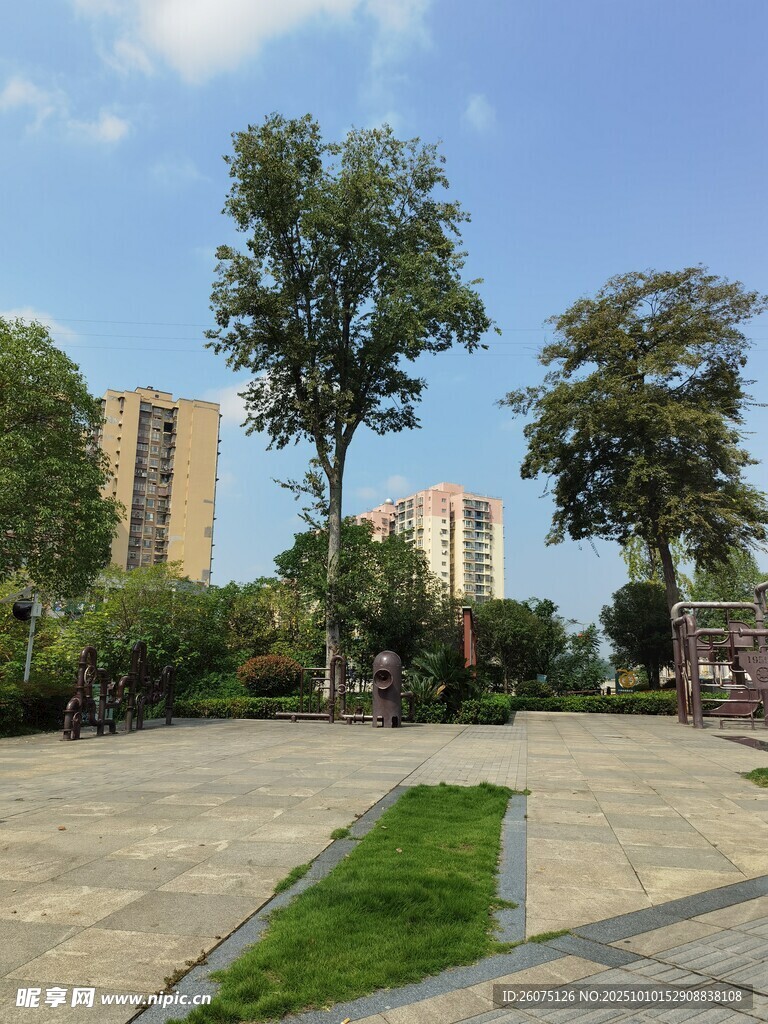 城市中的静谧休闲广场
