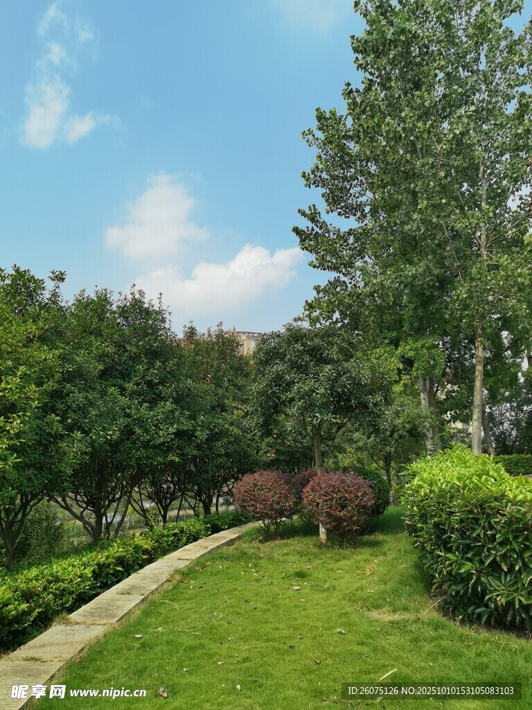 绿意盎然的园林小径