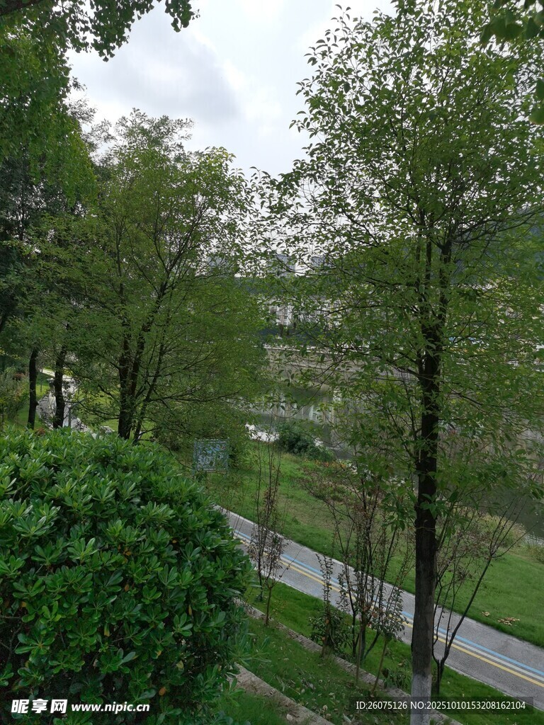 林间小道风景
