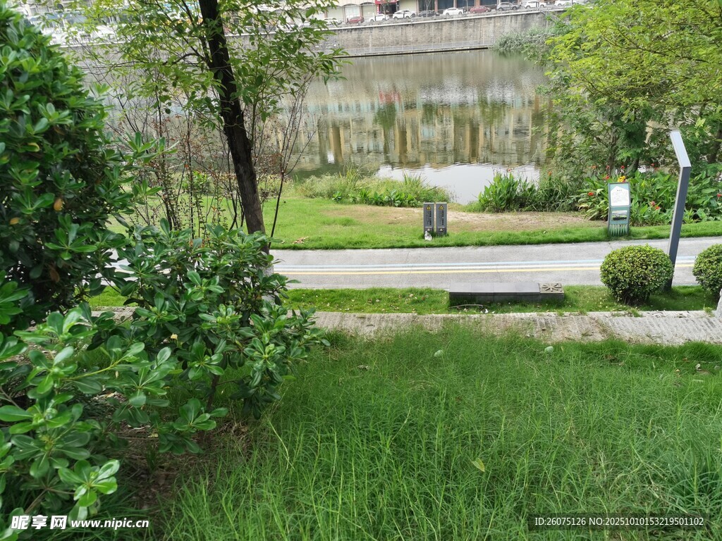静谧庭院绿植景观