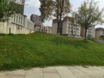 城市中绿意盎然的斜坡景观