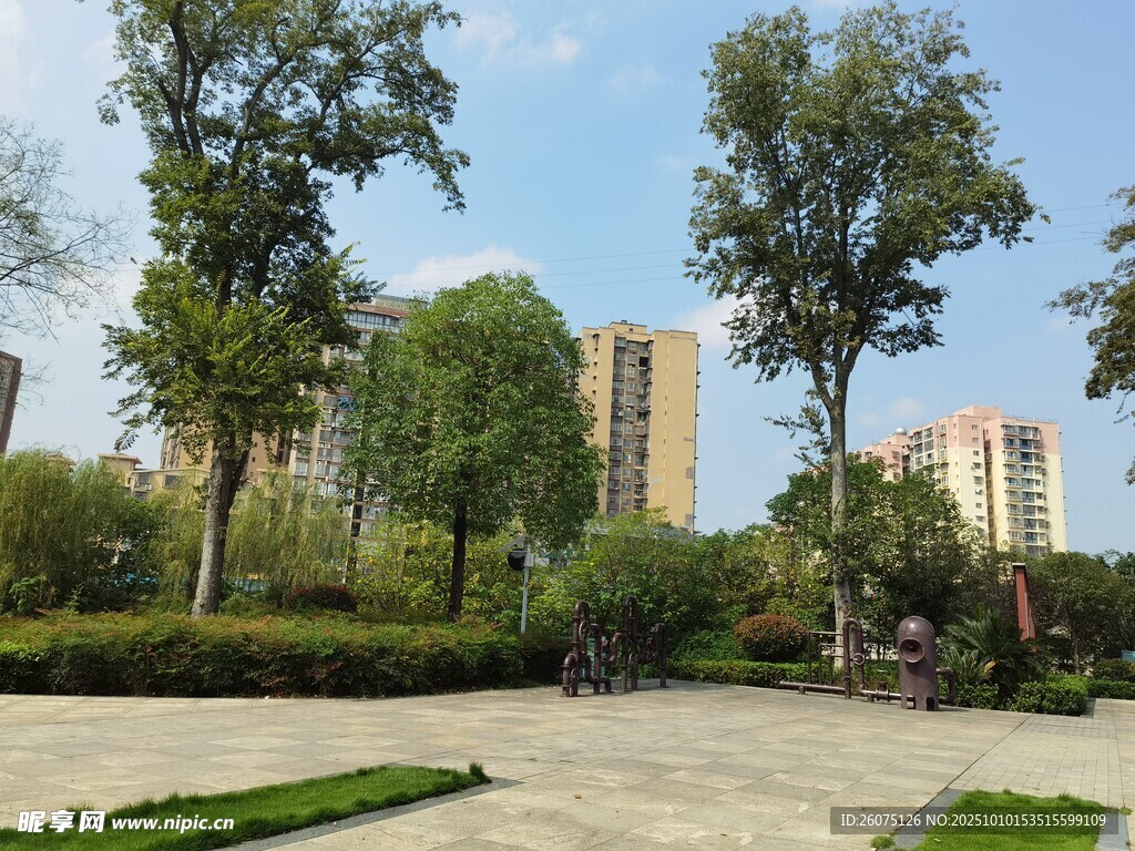 城市公园的宁静景致