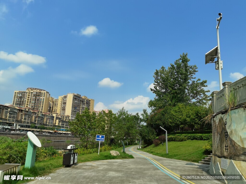 城市公园中的休闲景致