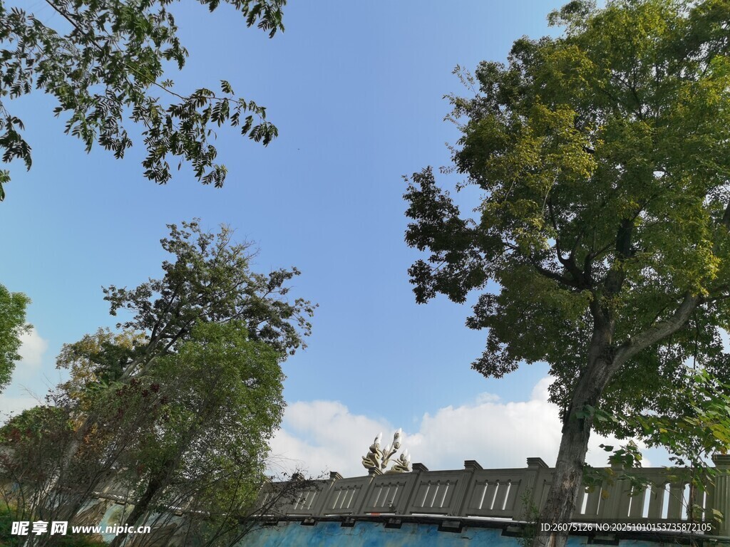 蓝天绿树旁的建筑物