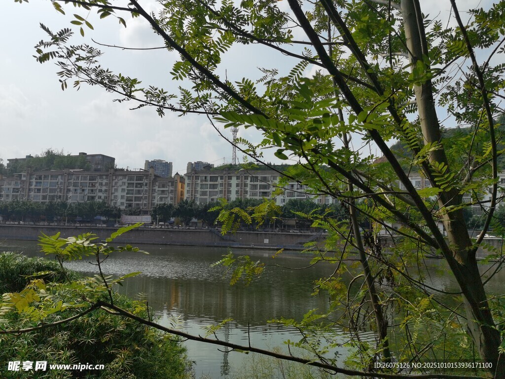 湖畔绿树掩映的城市风光