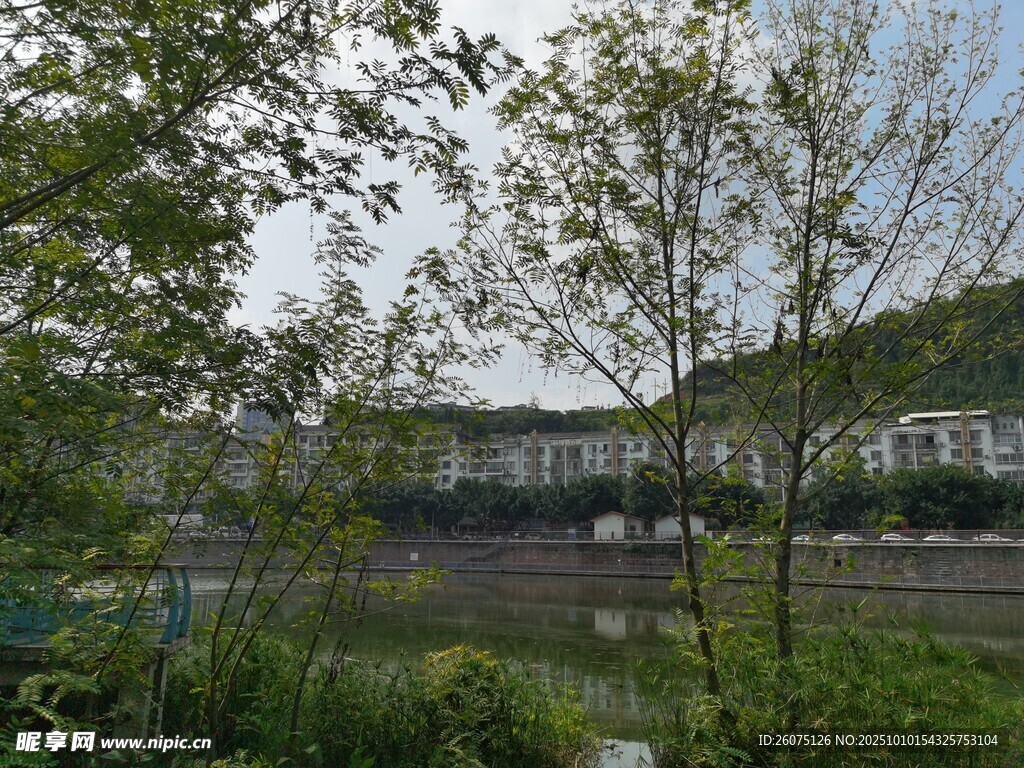 户外绿植环绕的宁静场景