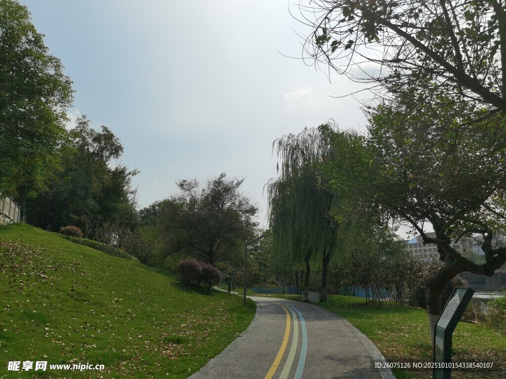 蜿蜒小路旁的绿意景致