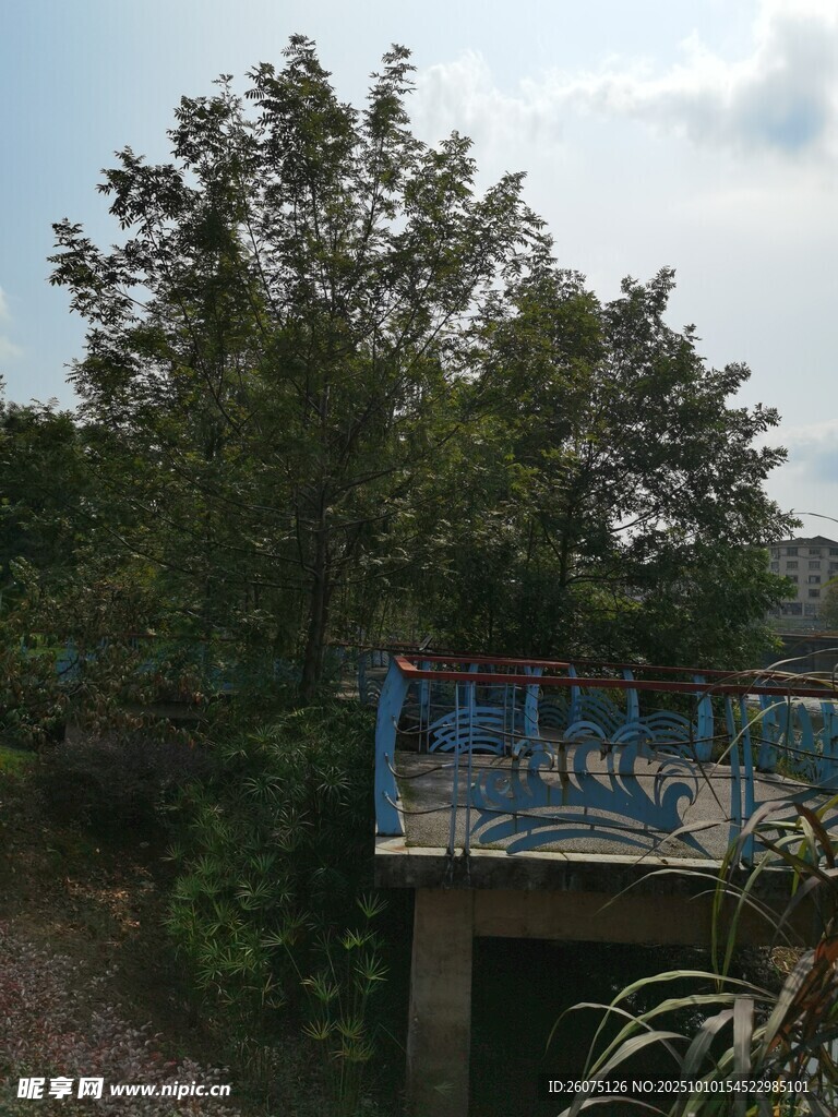 户外绿植旁的蓝色栏杆景观