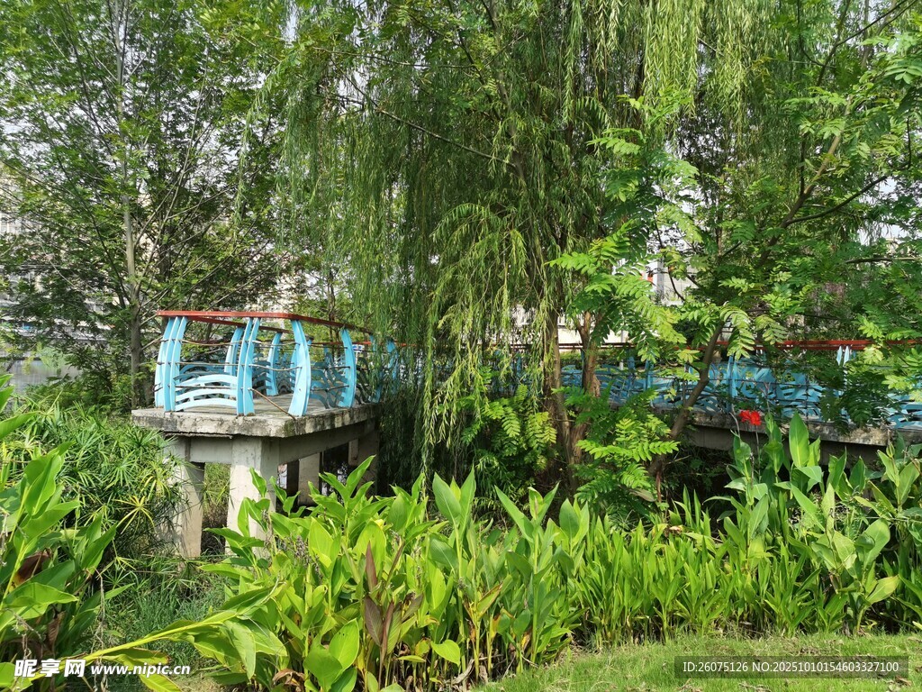 林中蓝亭隐于葱郁绿植间