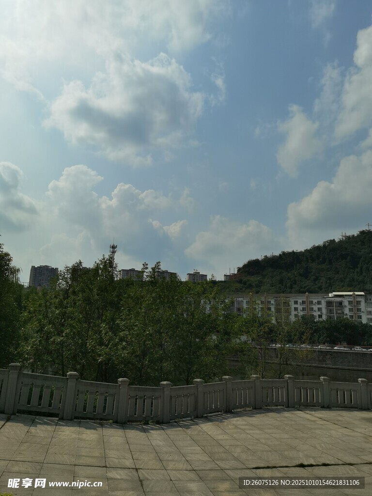 户外开阔风景与绿植