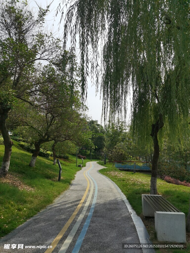 公园中的多彩步道