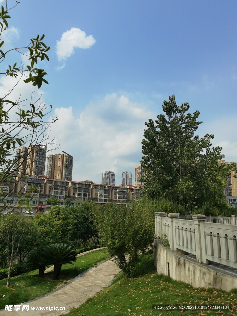 城市中的宁静绿地景观