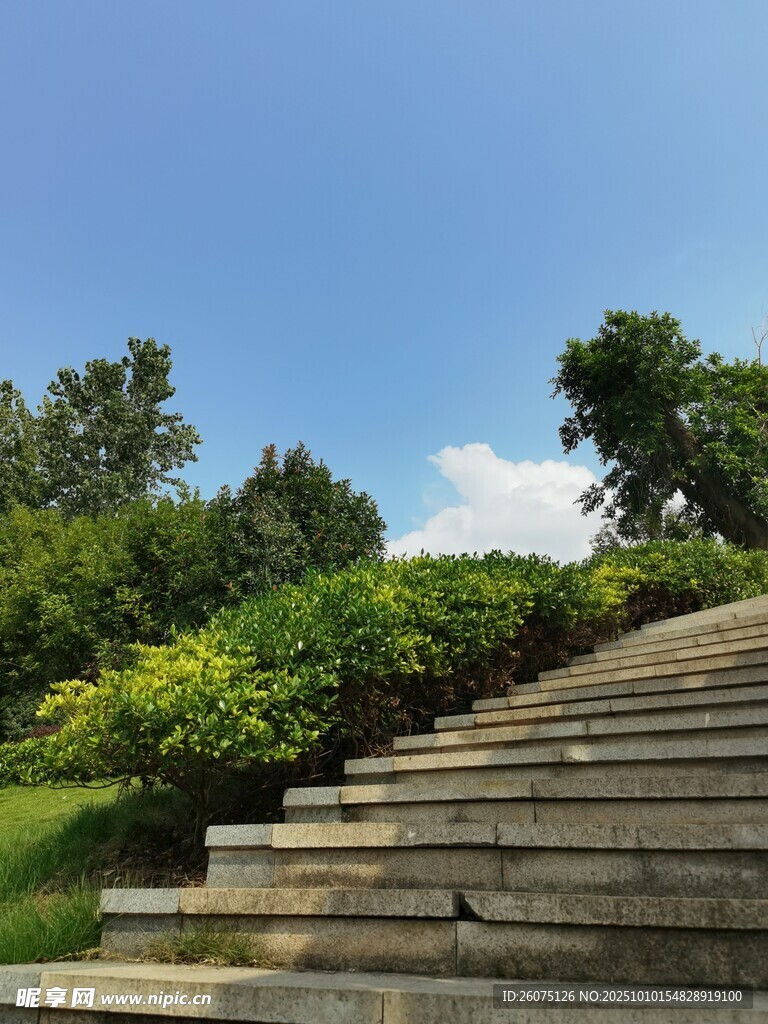 石阶旁绿意盎然的景致