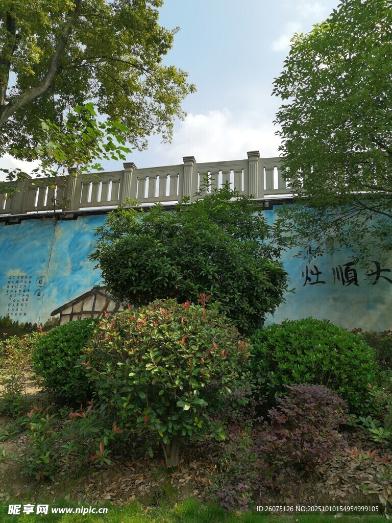 花园中的绿植与远景桥景