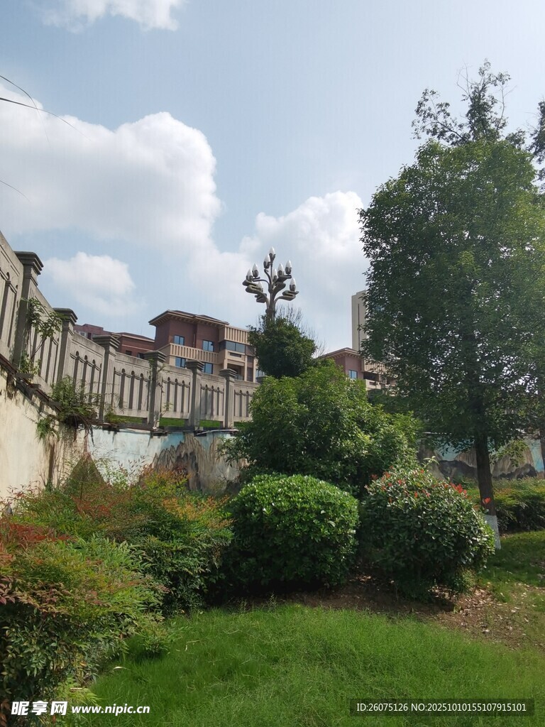 庭院绿植环绕的中式建筑