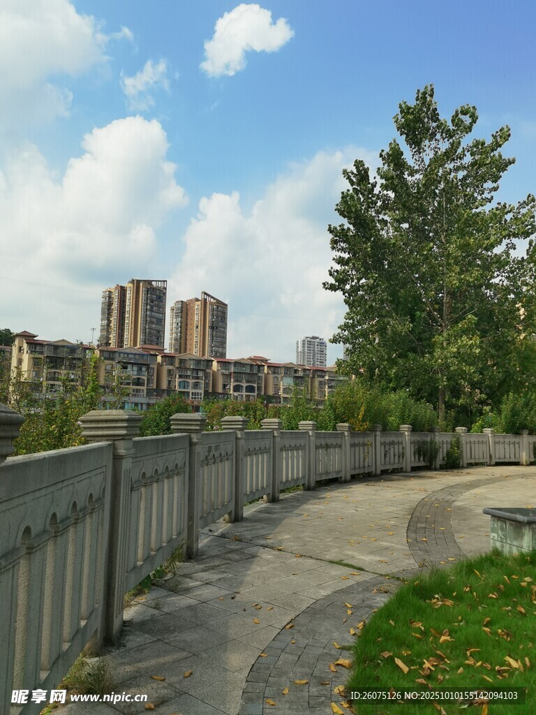 城市中宁静的步道景观
