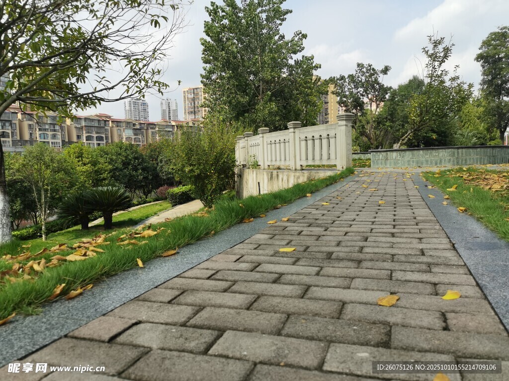 公园石板小径风景