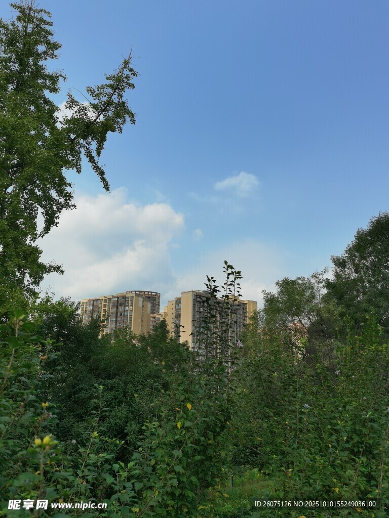 蓝天绿树间的城市远景