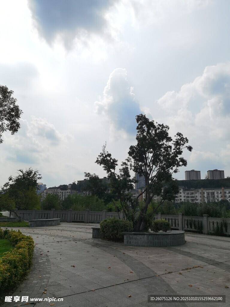 户外开阔的绿植景观区域