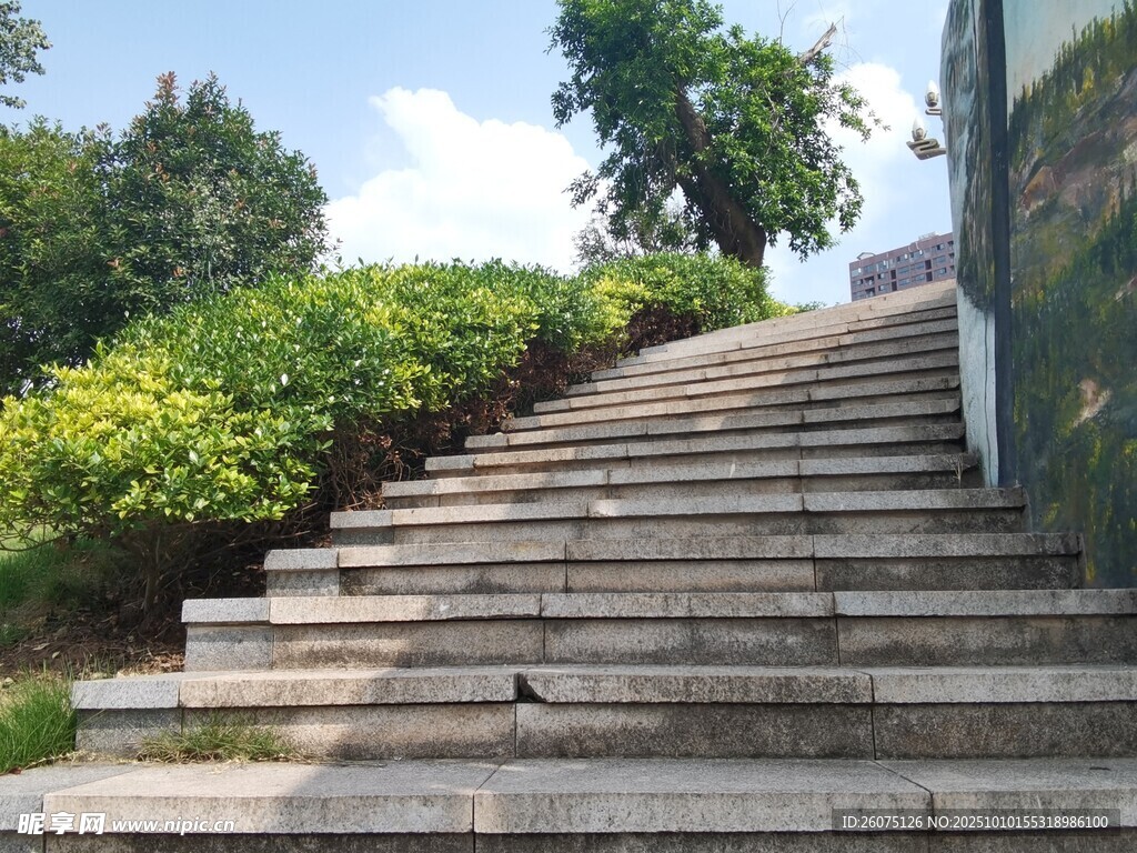 户外石阶旁绿植环绕