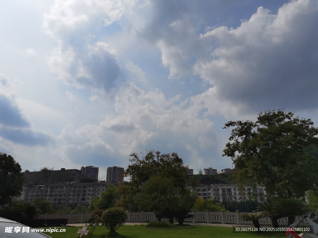 城市天空下的绿树与建筑