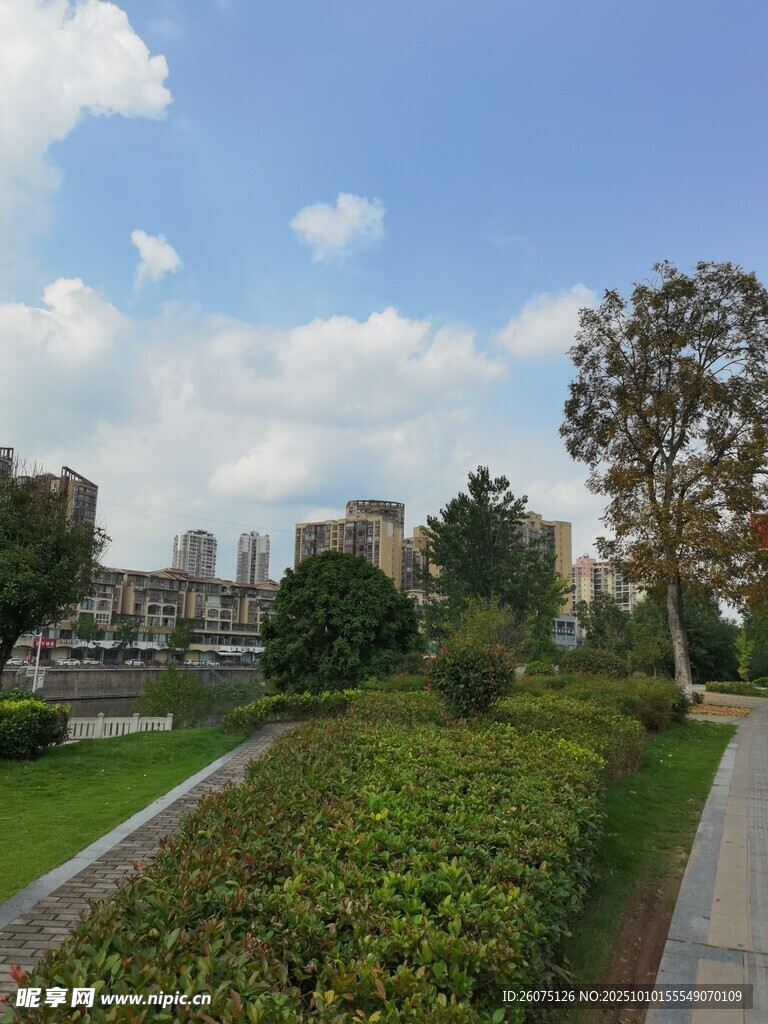 城市中的绿意小径景观