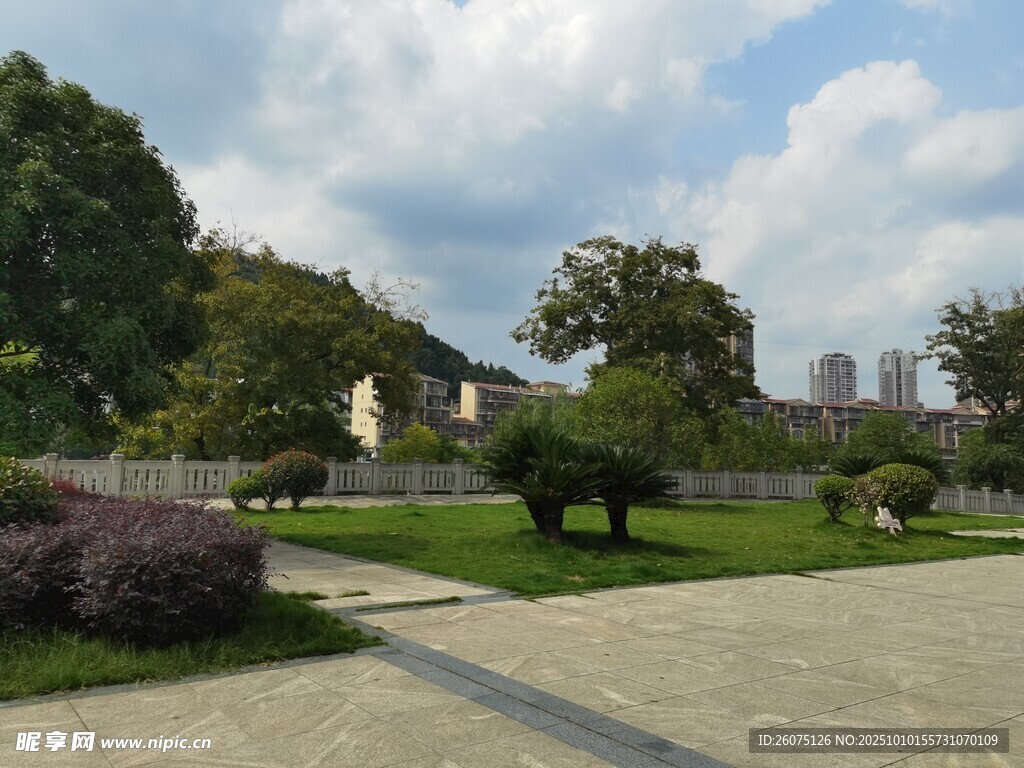 城市公园中的宁静景致