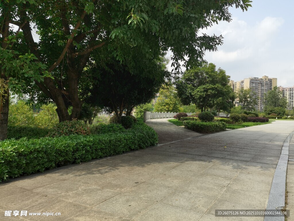 城市林荫步道景观