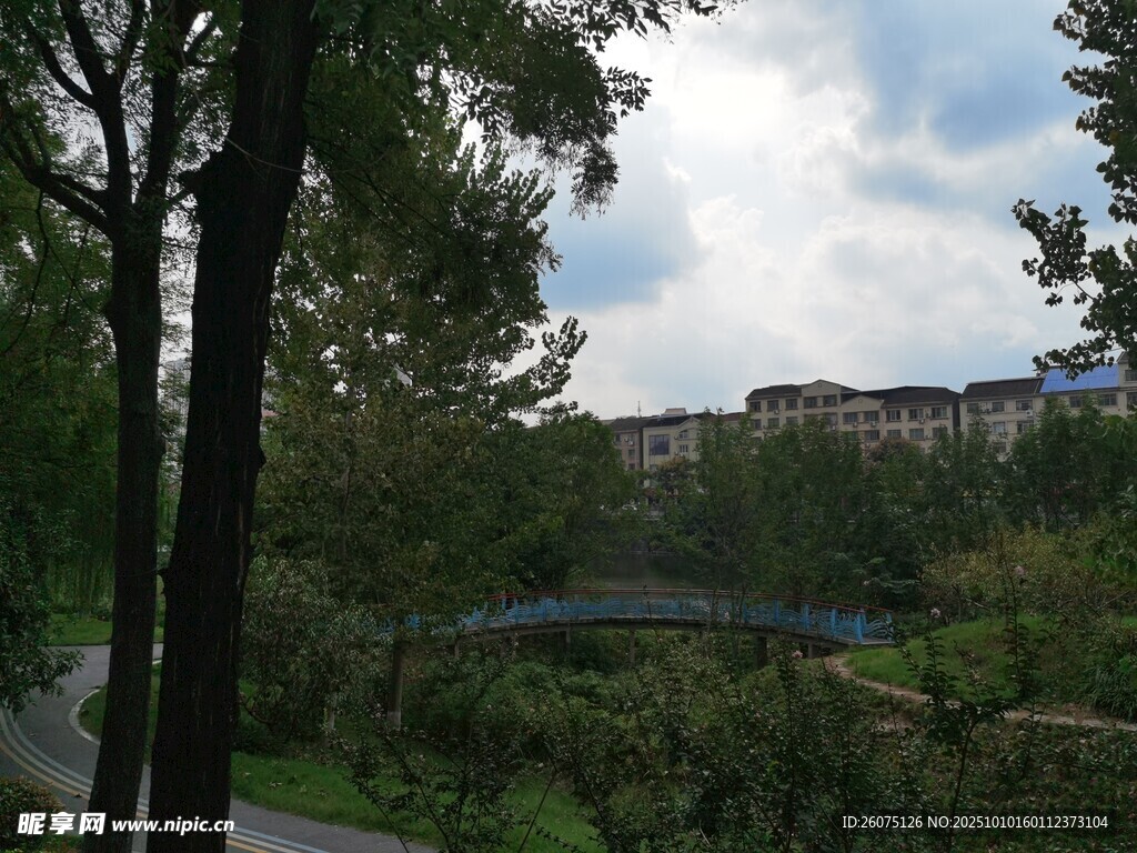 城市林间小道风景