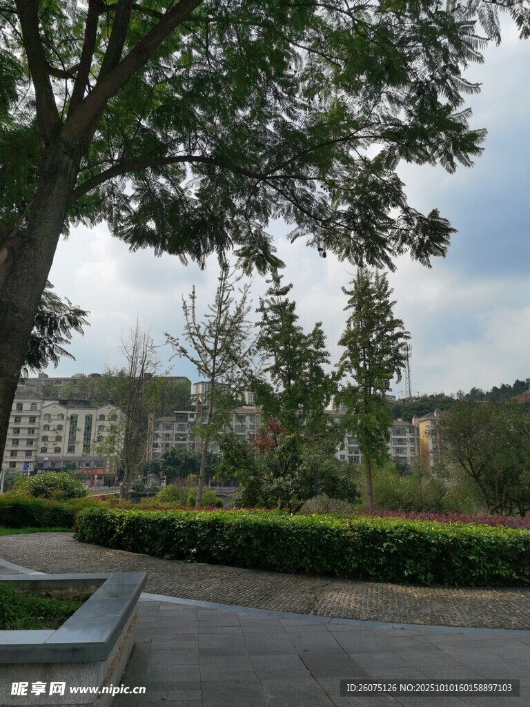 校园绿树环绕的开阔景致