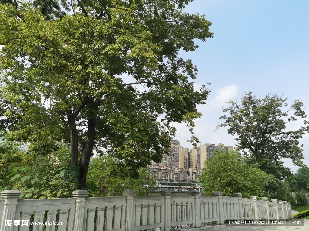 绿树环绕的白色围栏景观